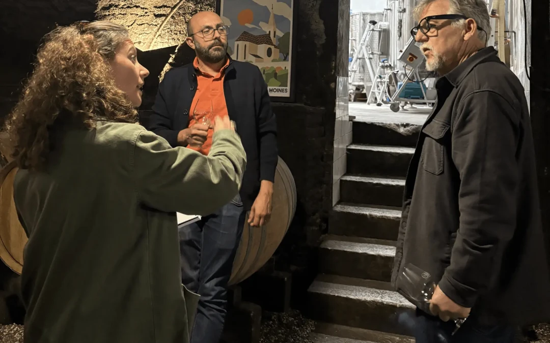 Titre de l’article
